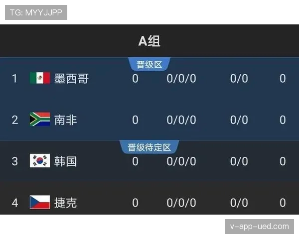世界杯A组南非后防线实力评估 世界杯A组南非后防线实力评估